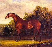 John F Herring Negotiator, the Bay Horse in a Landscape Spain oil painting artist
